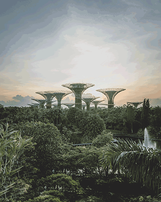Gardens by the Bay at dusk, Singapore
